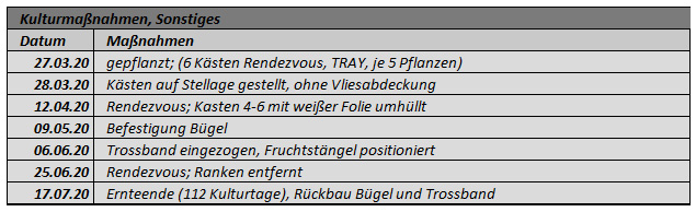 Kulturführung Rendezvous